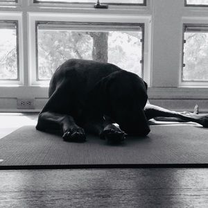 Meet your Posher, Esther